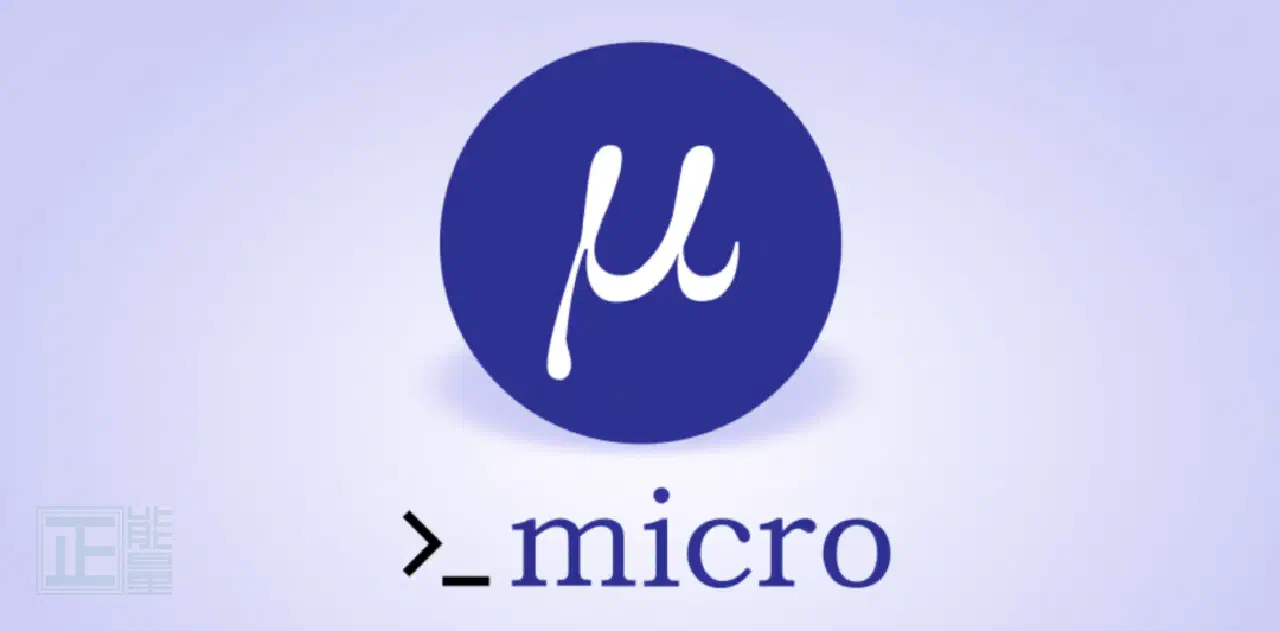 分享一款跨平台的文本编辑器micro:原站配图。